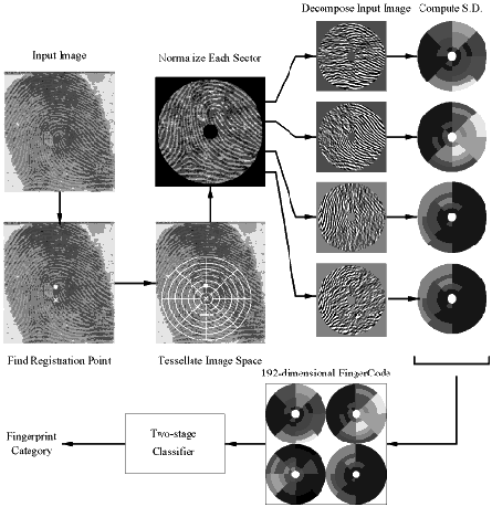 Flow diagram of our fingerprint classification algorithm
